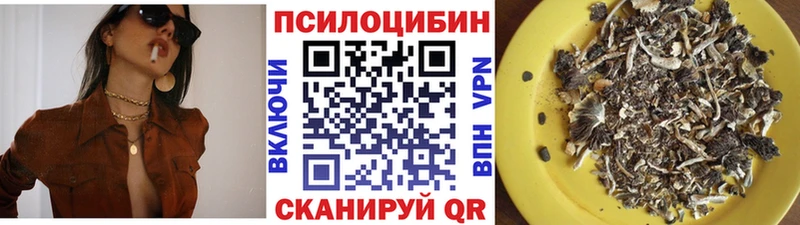 кракен как зайти  где можно купить   Алатырь  Псилоцибиновые грибы Magic Shrooms 